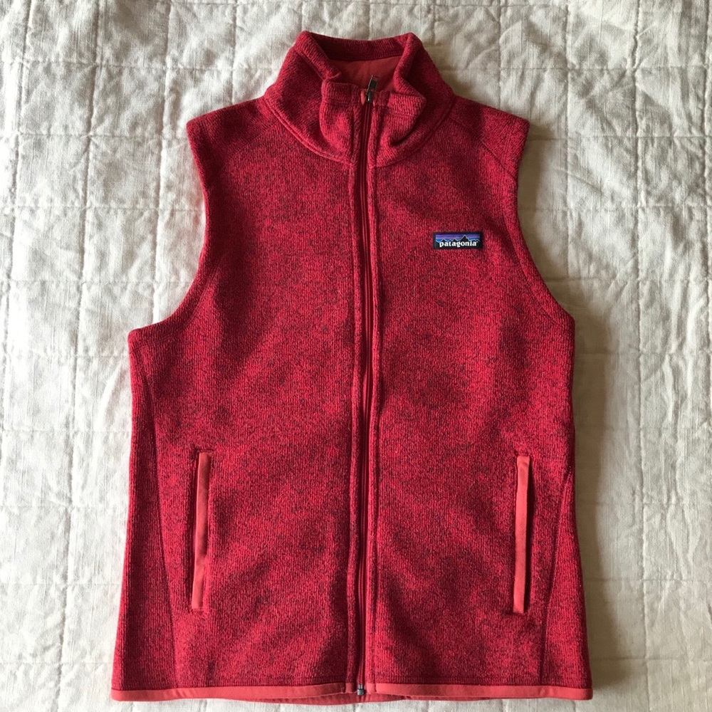 Patagonia Classic Fleece Vest